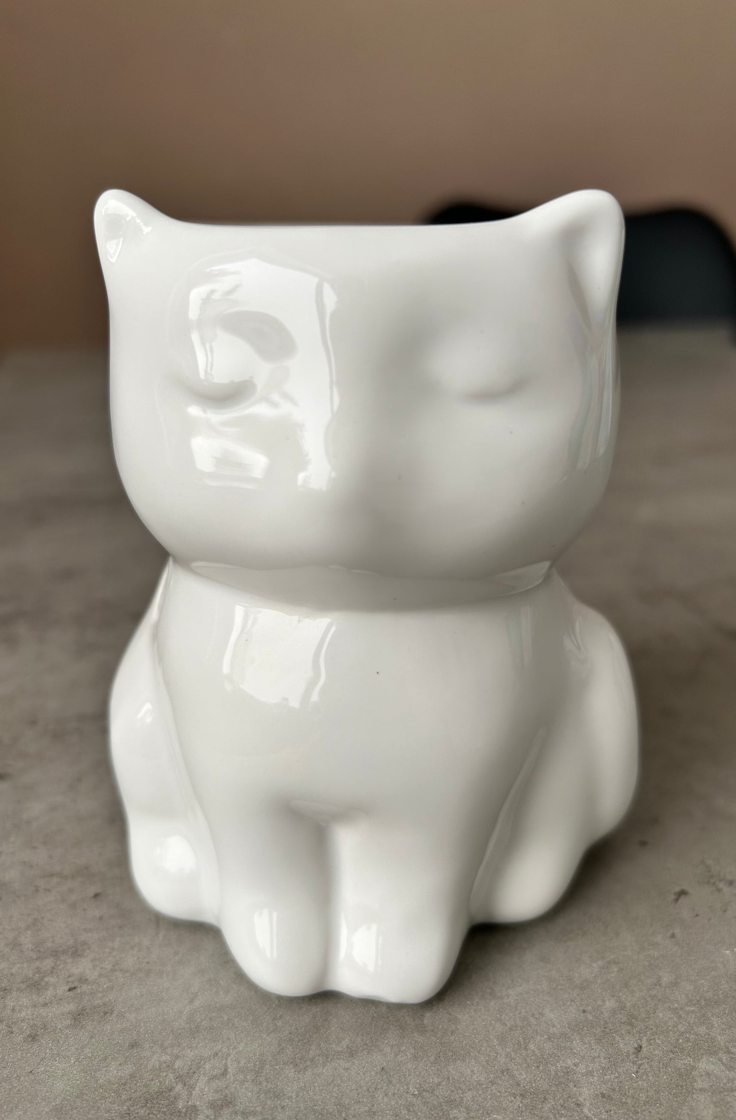 Shiny Cat Duftlampe 2. sortering